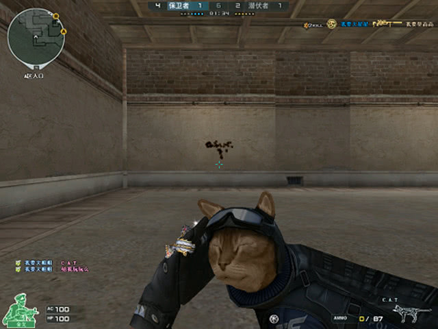 效率的押注 效率的押注