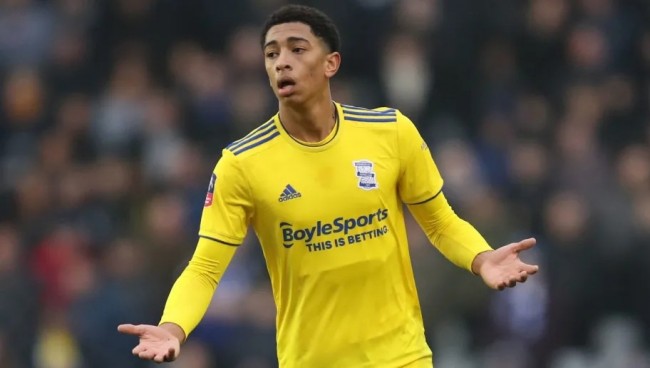 的教科书 的教科书