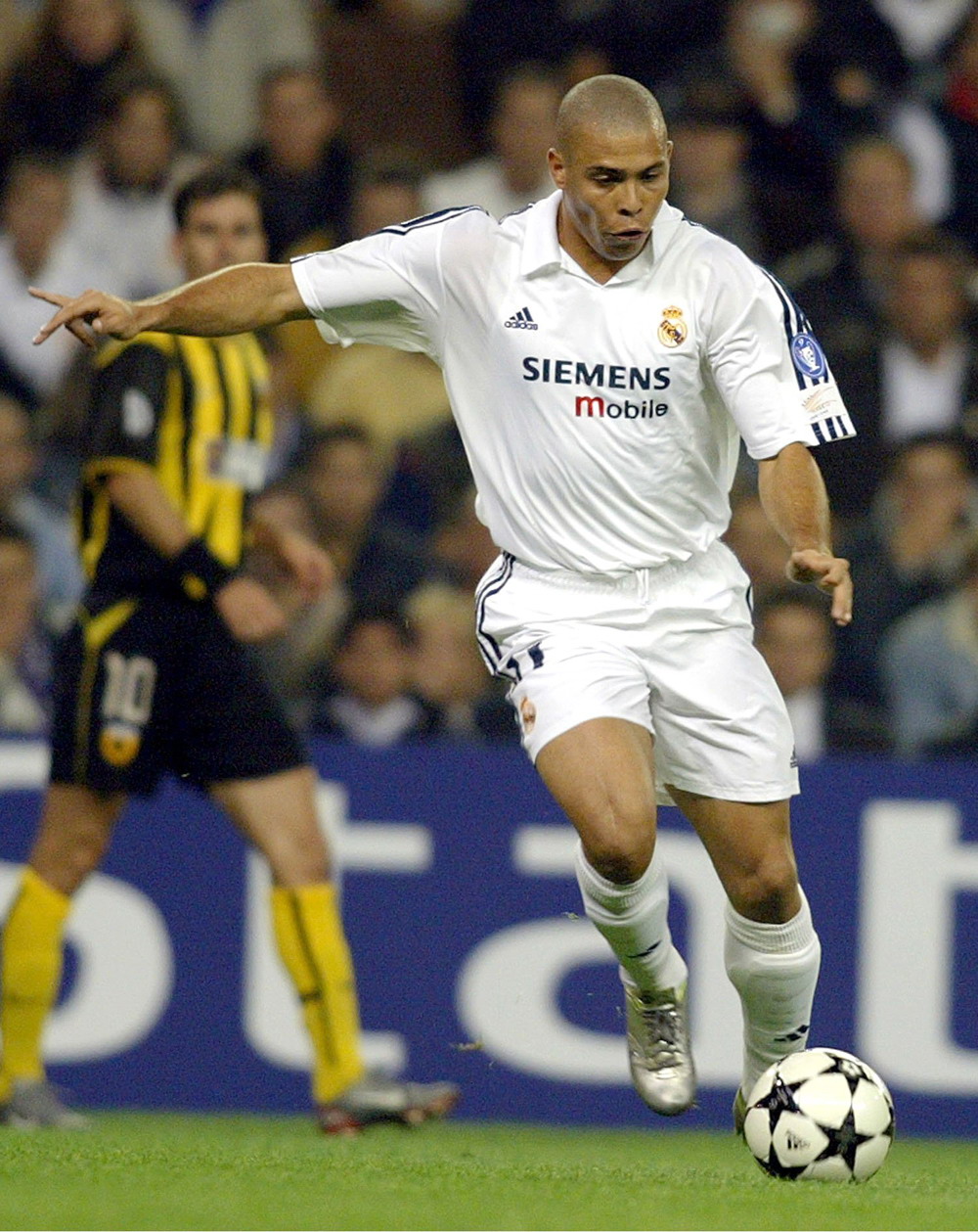 发连贯性的 发连贯性的